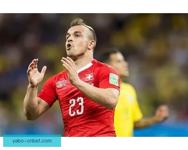 世界杯赛事深度解析与精准竞猜策略全方位指南