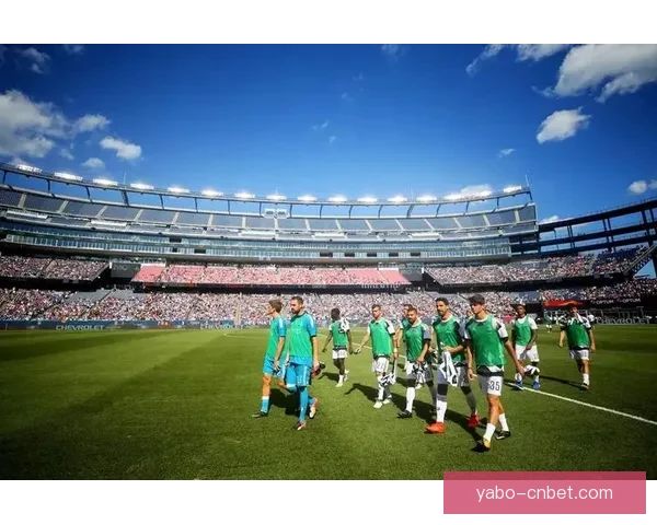 2026年国际足联世界杯精彩赛程与全球球迷狂欢盛况揭秘